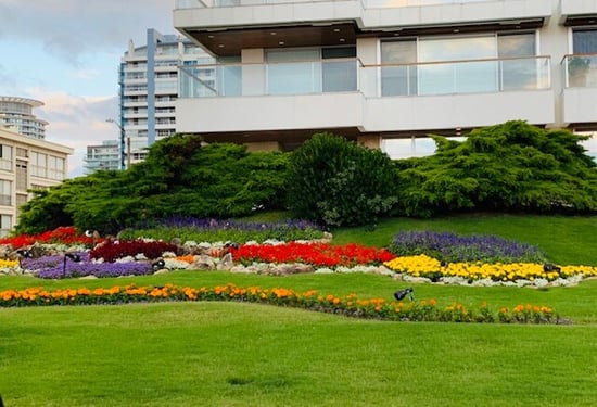 jardinpuntadeleste