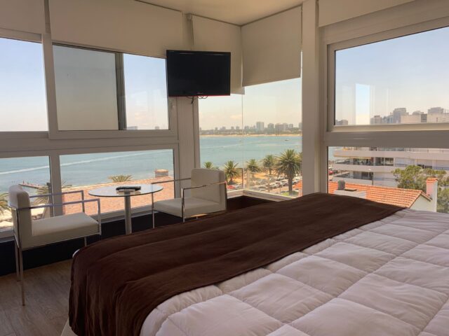 Suite Executive