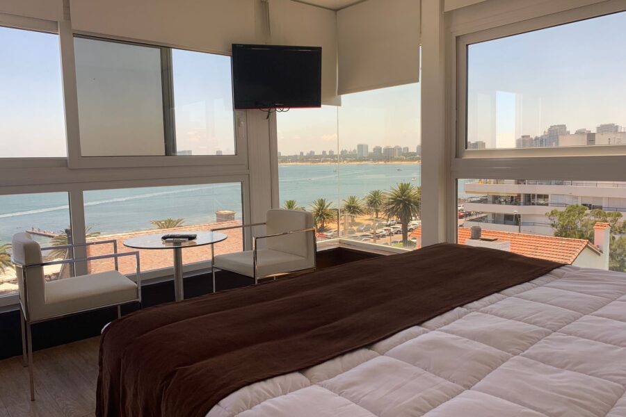 Suite Executive